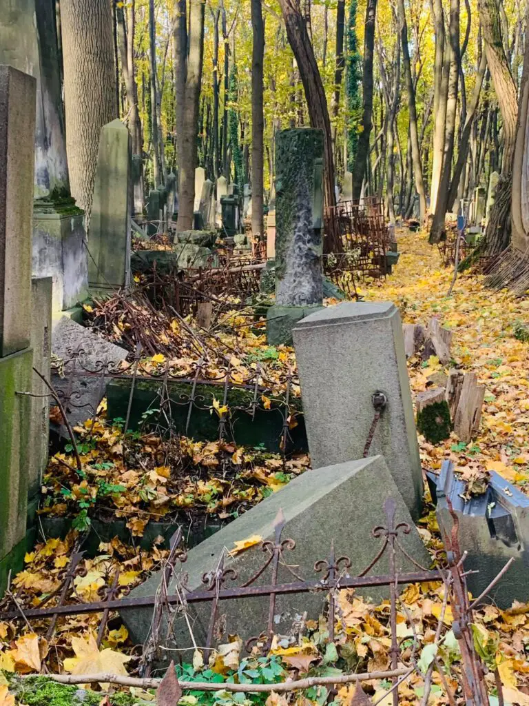 old gravestones in the trees