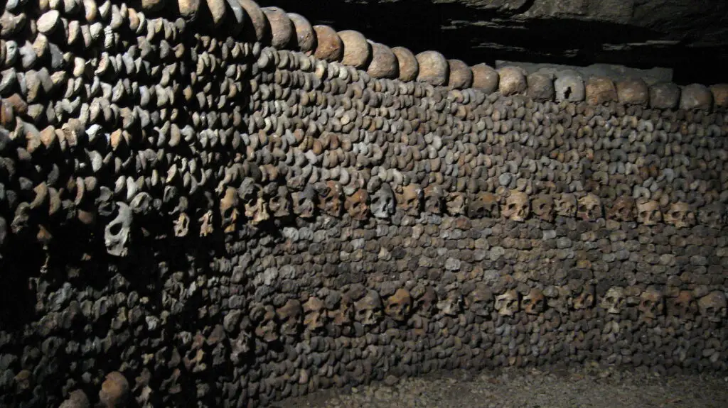 bones and skulls in a wall