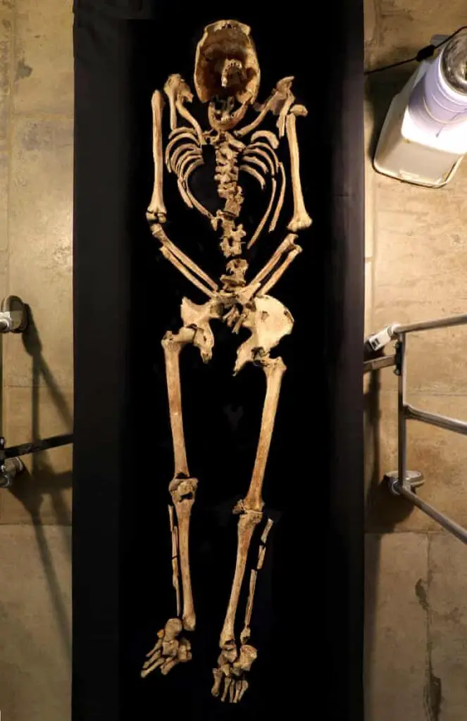 grave, skeleton, bones, skull