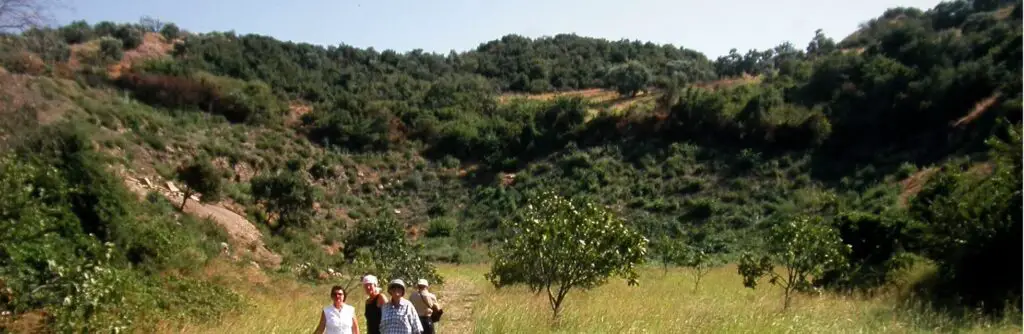 people walking in a small valley