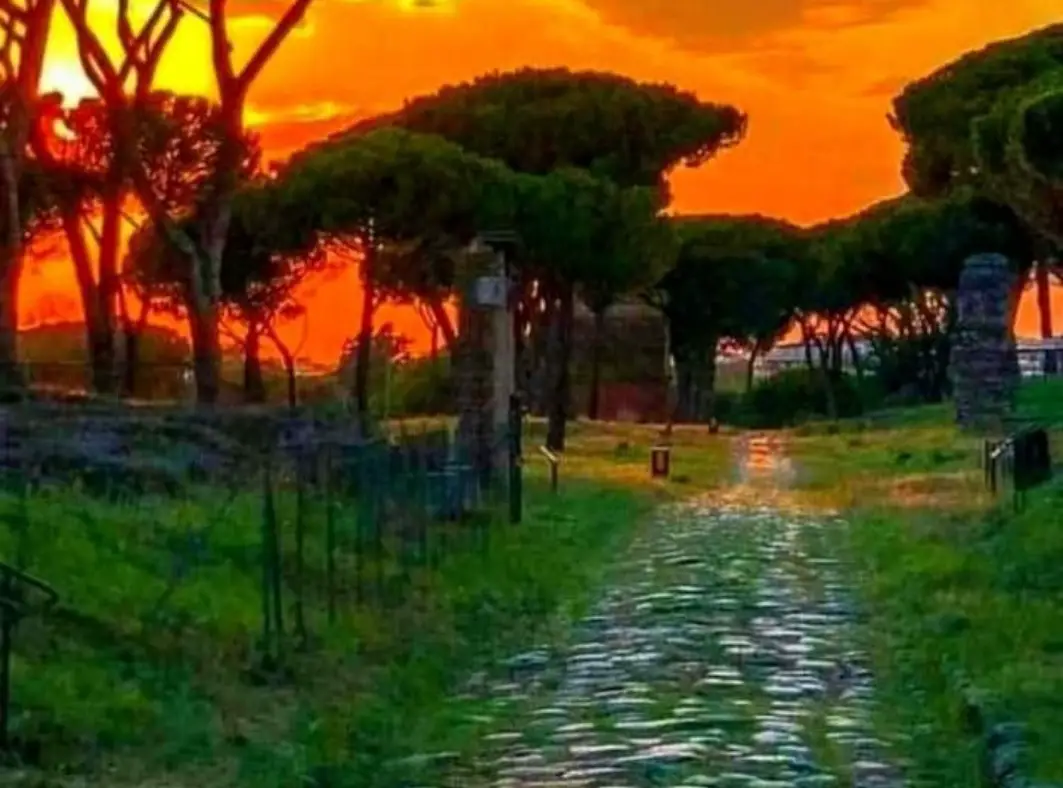 sunset, trees, roman road, grass