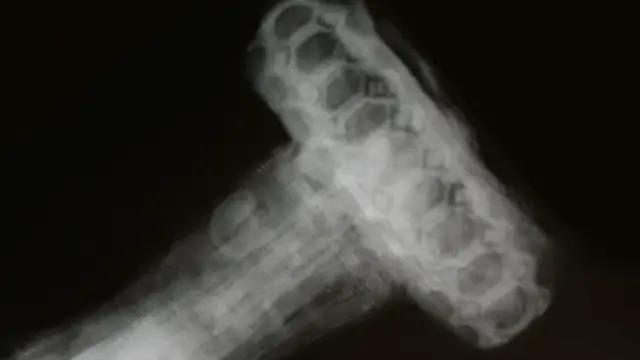 x-ray of a viking sword