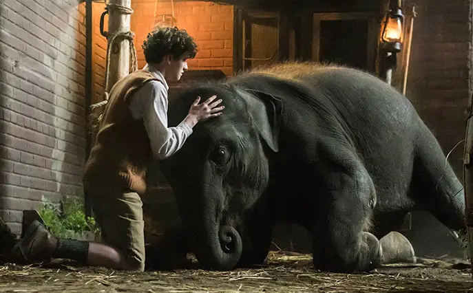 A picture from the film Zoo. 