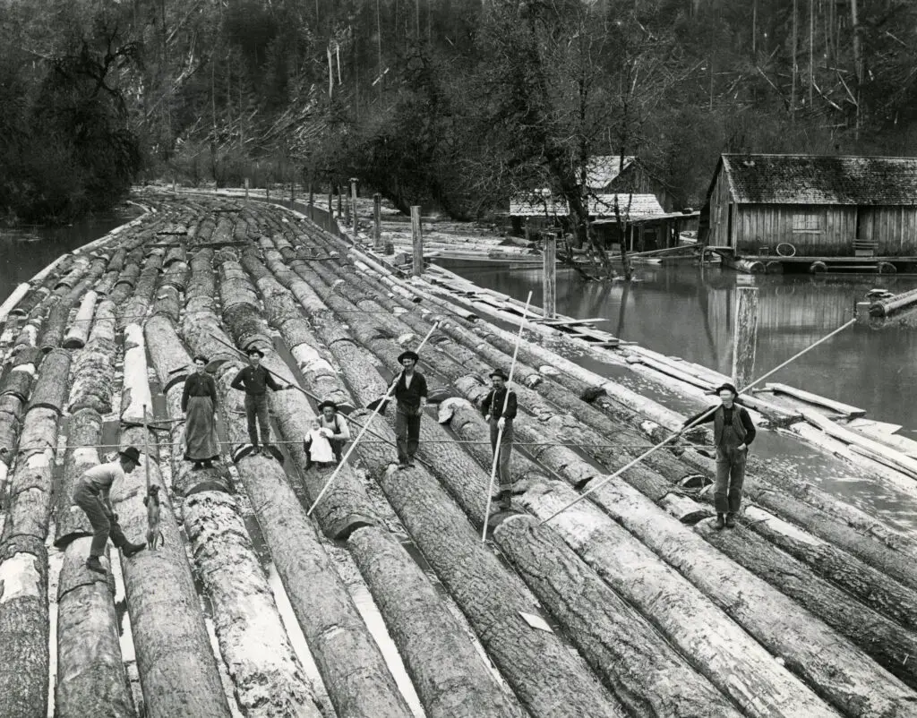 Log raft in Rinearson Slough, Columbia County.
