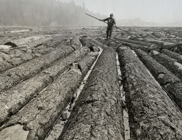 Timber Raft 1800s