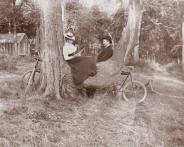 Couple on a trail tree circa 1898
